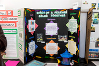 science fair 2025-0375