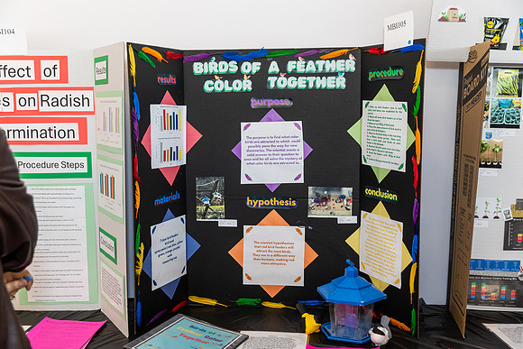 science fair 2025-0375